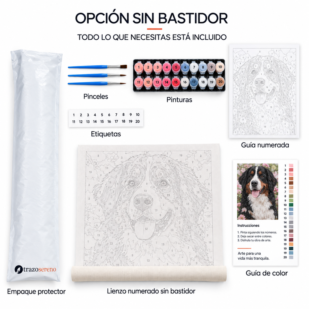 Pinta lo que Amas — Kit Personalizado con tu Foto